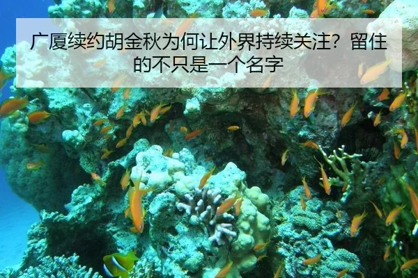 广厦续约胡金秋为何让外界持续关注？留住的不只是一个名字